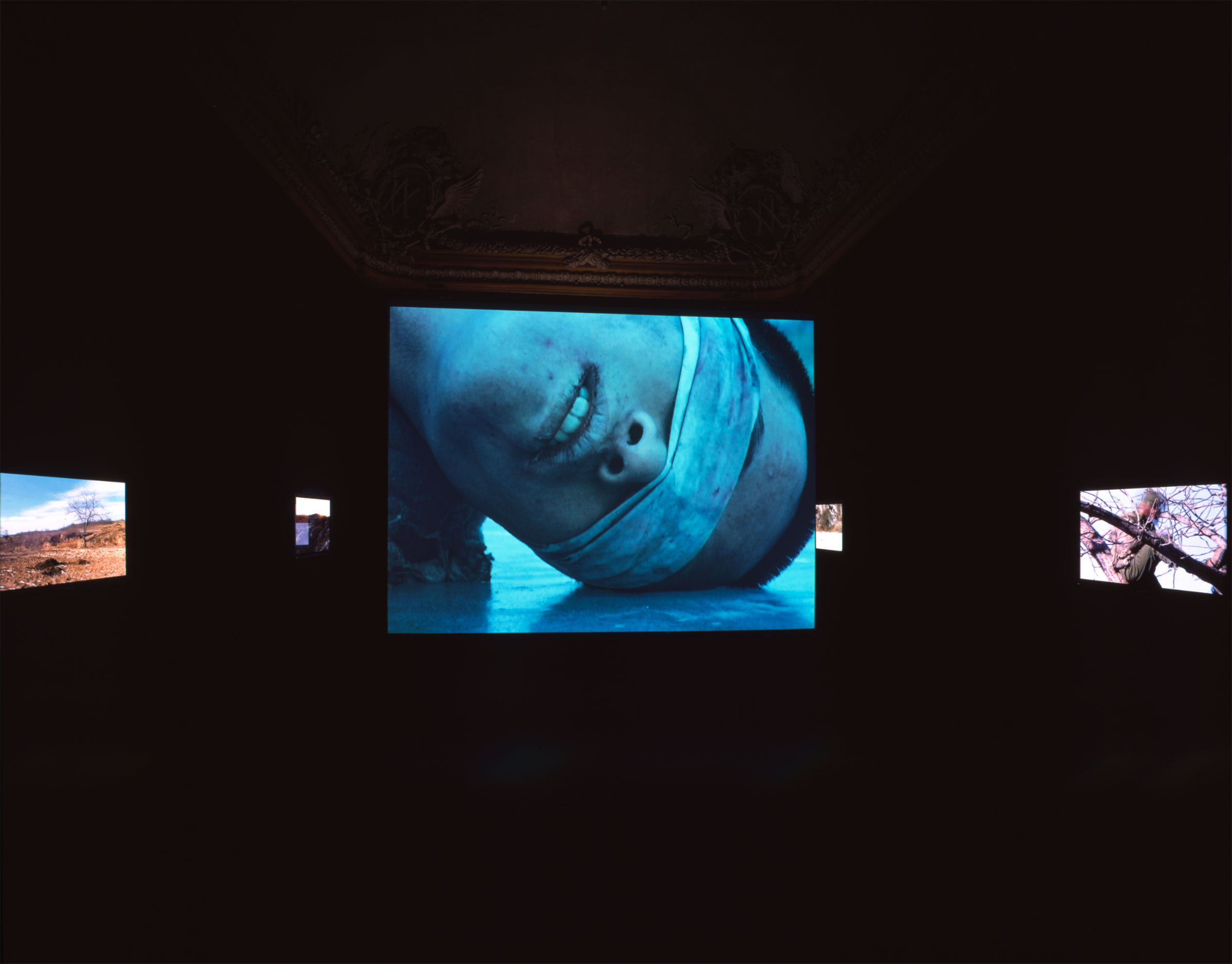 Yang Fudong, Dengdai she de suxing / Waiting for the Snake to Wake Up, 2005